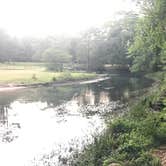 Review photo of Blue Hole Campground — Florida Caverns State Park by Jo N., June 25, 2017