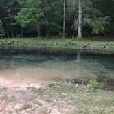 Review photo of Blue Hole Campground — Florida Caverns State Park by Jo N., June 25, 2017