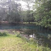Review photo of Blue Hole Campground — Florida Caverns State Park by Jo N., June 25, 2017