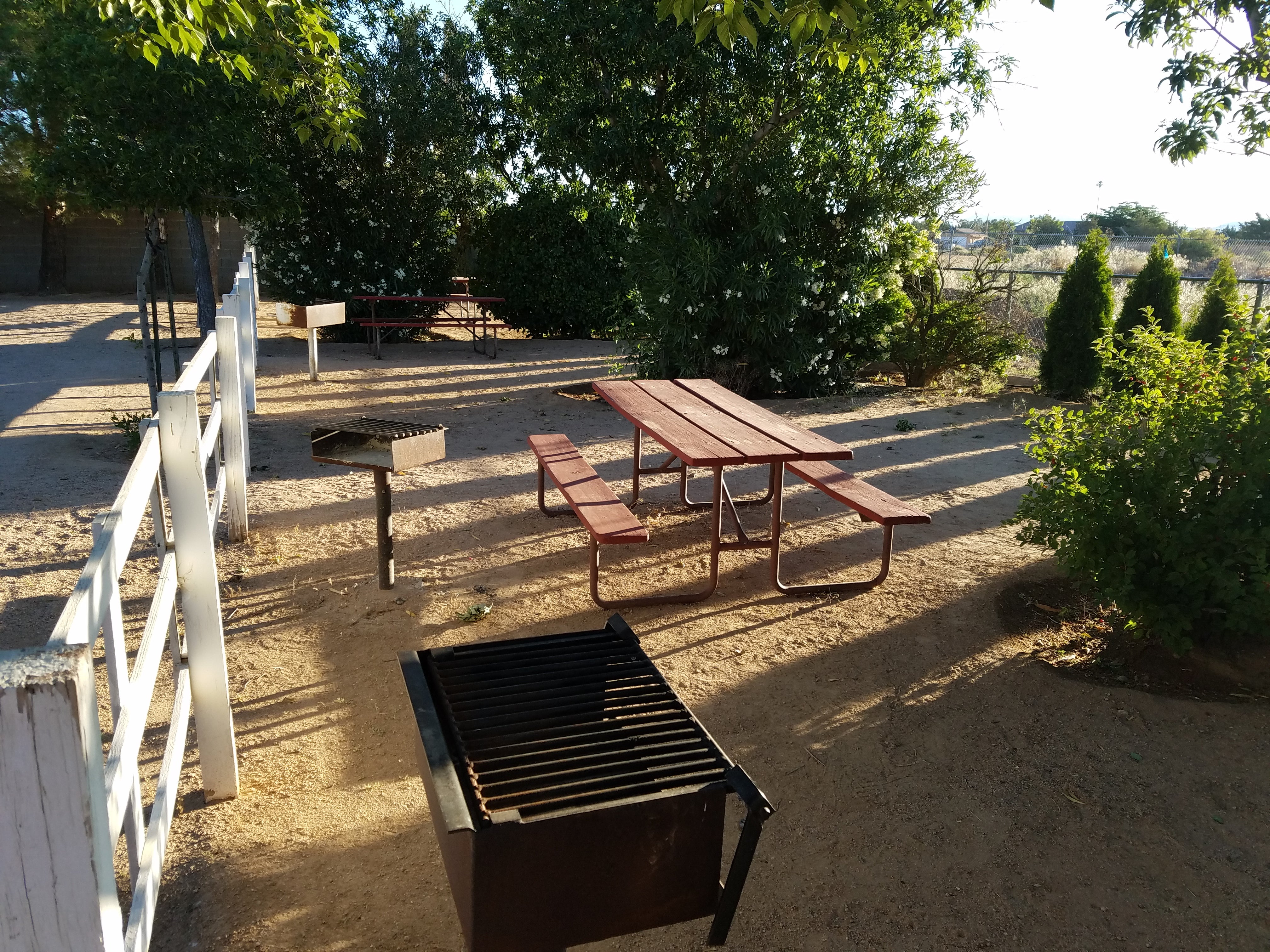 Camper submitted image from Kingman KOA - 5