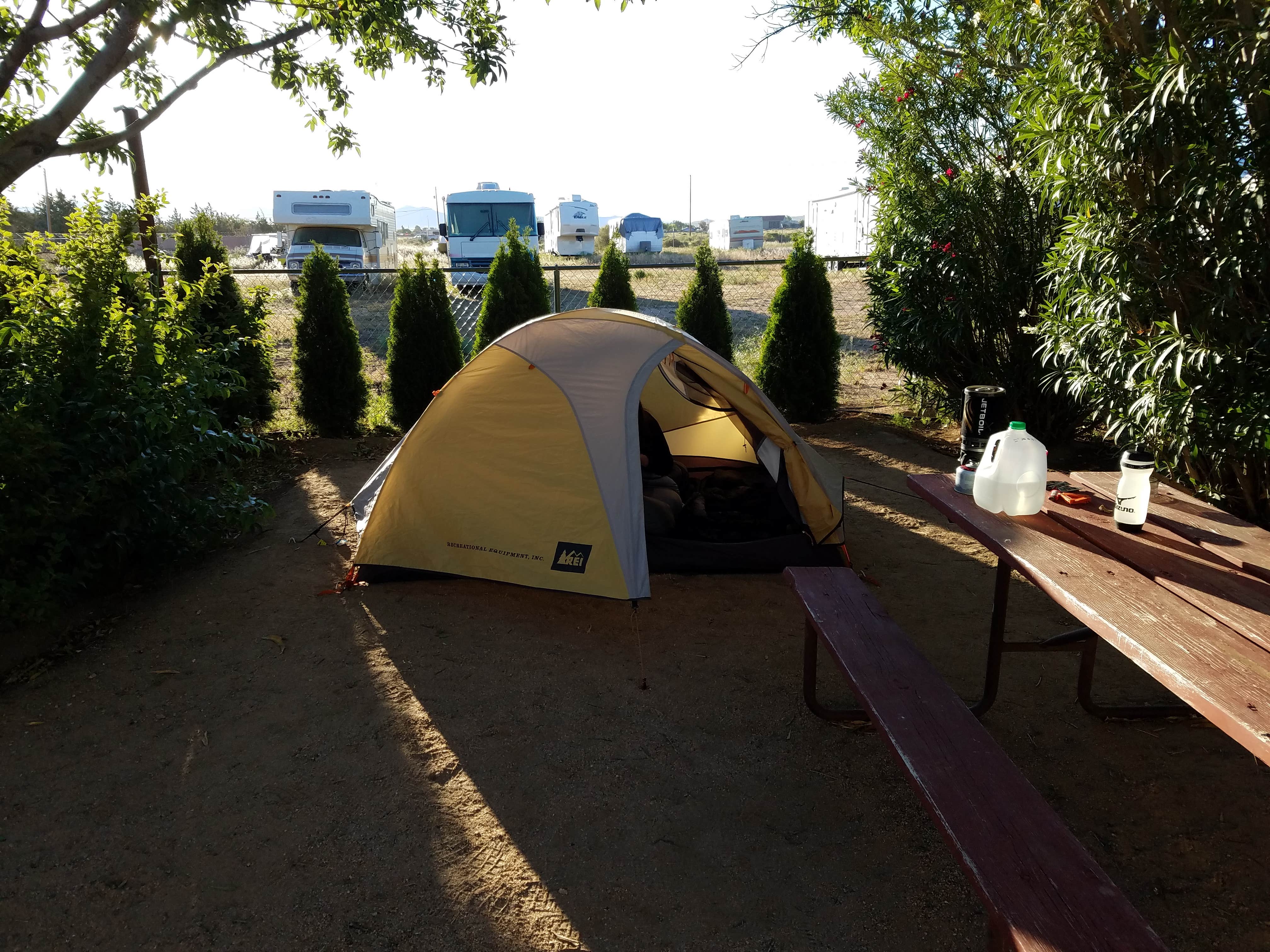 Camper submitted image from Kingman KOA - 4