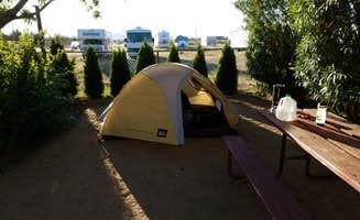 Danielle S.'s photo at Kingman KOA near Yucca, AZ