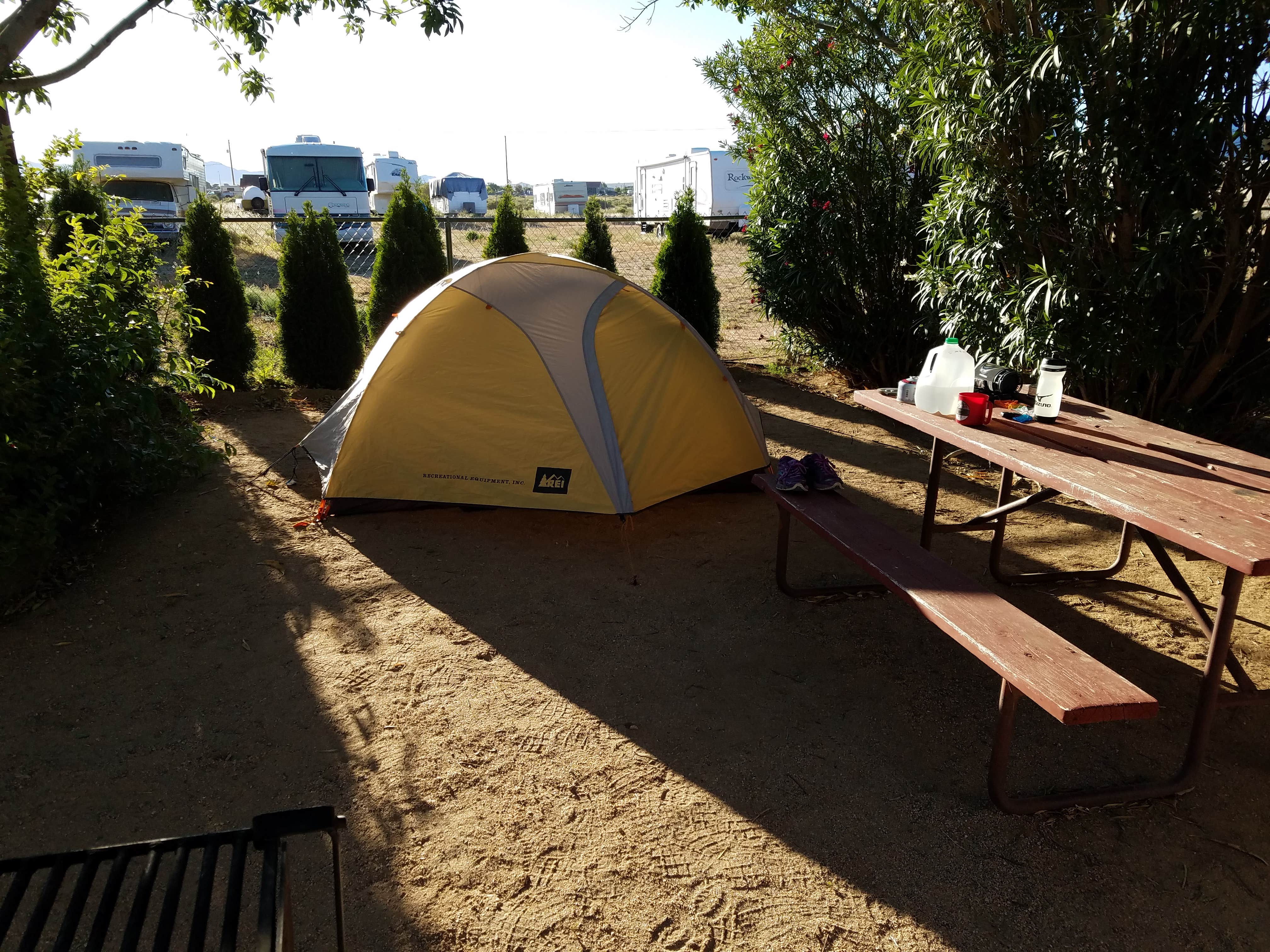 Danielle S.'s photo at Kingman KOA near Oatman, AZ