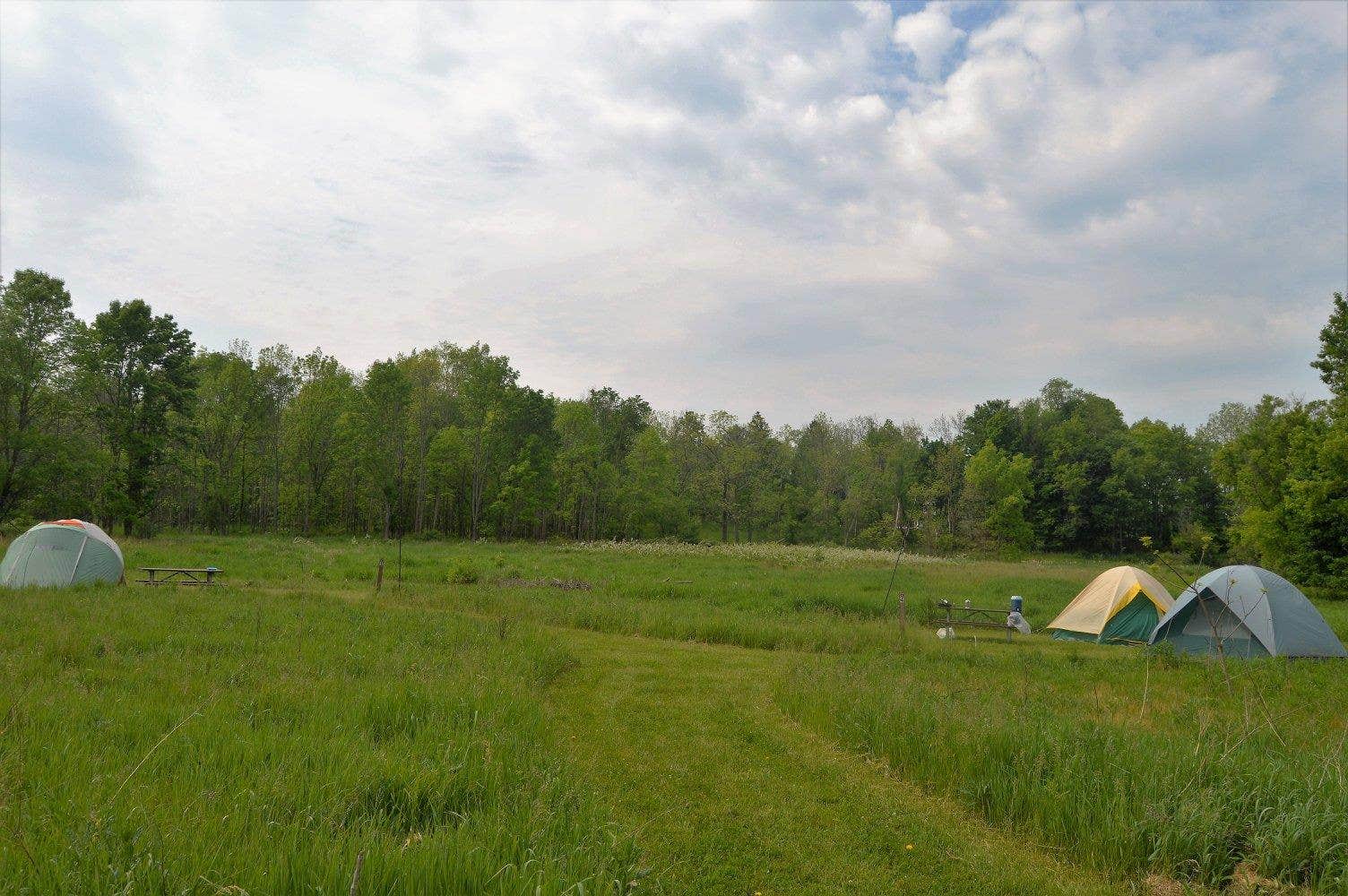Camper submitted image from Cuyahoga Valley National Park - CAMPING NO LONGER OFFERED - 3