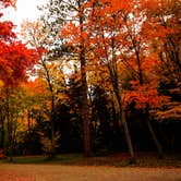 Review photo of Rivermouth Modern Campground — Tahquamenon Falls State Park by Shari  G., June 26, 2017
