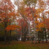 Review photo of Rivermouth Modern Campground — Tahquamenon Falls State Park by Shari  G., June 26, 2017