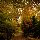 Review photo of Rivermouth Modern Campground — Tahquamenon Falls State Park by Shari  G., June 26, 2017