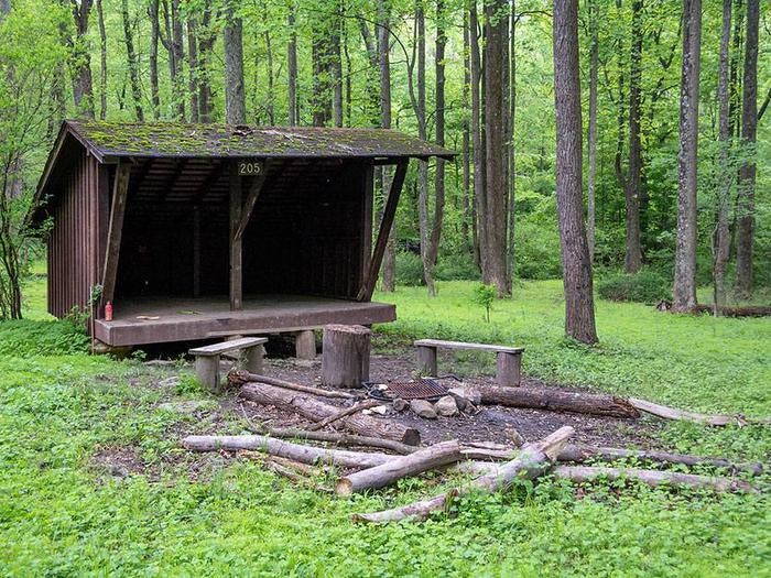 Camper submitted image from Adirondack Shelters — Catoctin Mountain Park - 5