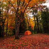 Review photo of Rivermouth Modern Campground — Tahquamenon Falls State Park by Shari  G., June 26, 2017