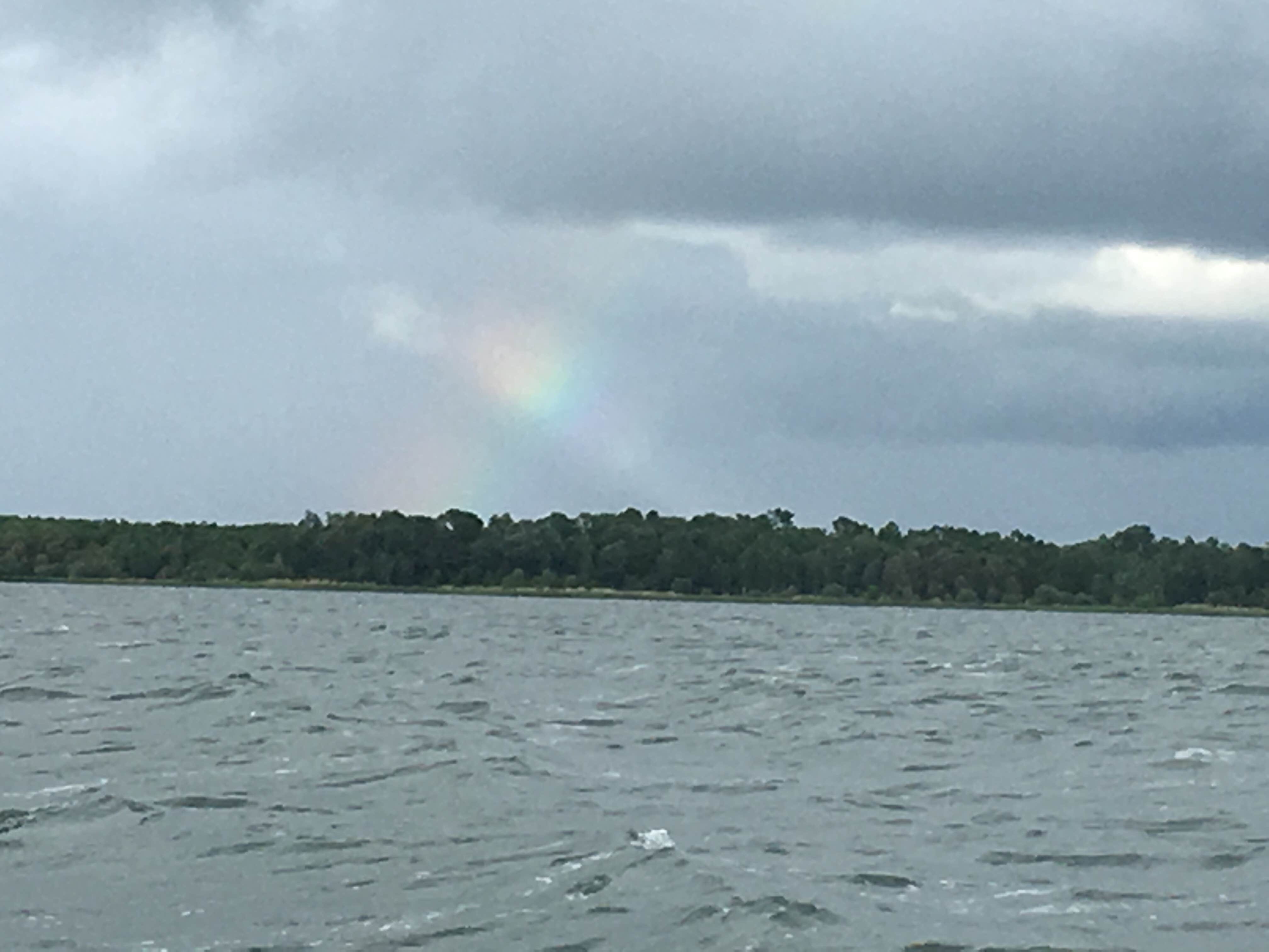 Camper submitted image from Leech Lake Recreation Area & Campground - 2