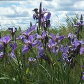 Review photo of Leech Lake Recreation Area & Campground by TyAnn J., June 26, 2017