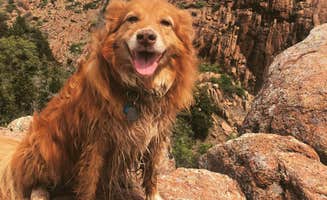 Dusty G.'s photo of camping with pets at Camp Doris near Duncan, OK