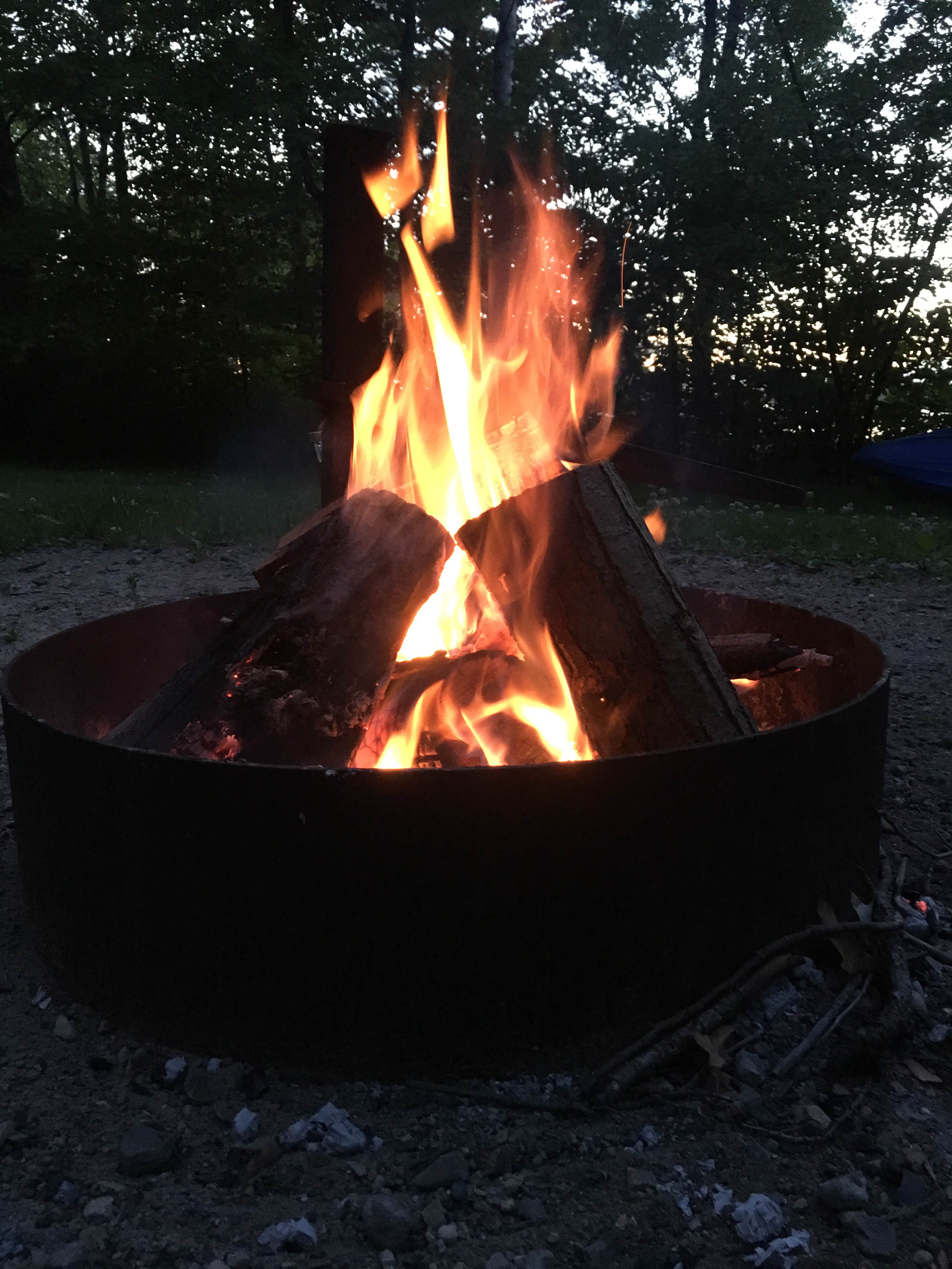 Camper submitted image from Leech Lake Recreation Area & Campground - 5