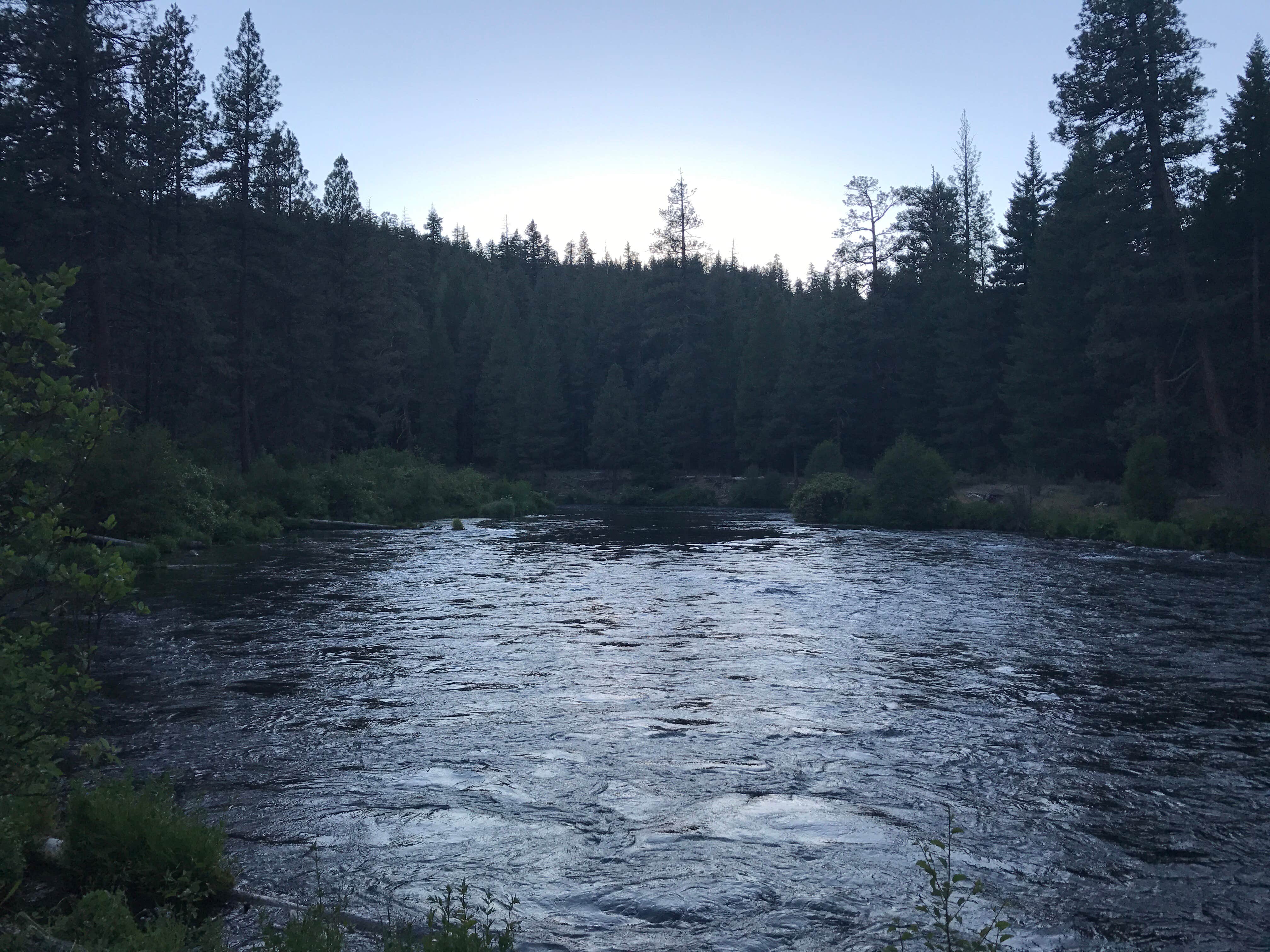 Camper-submitted photo at Allen Springs Campground near Camp Sherman, OR
