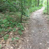 Review photo of Hoffmaster State Park Campground by Shelly B., June 26, 2017