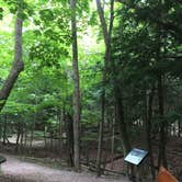 Review photo of Hoffmaster State Park Campground by Shelly B., June 26, 2017