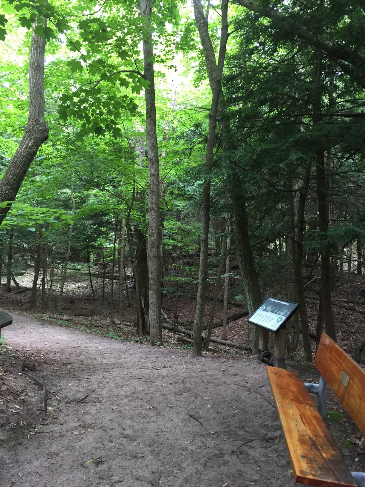 Camper submitted image from Hoffmaster State Park Campground - 3