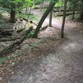 Review photo of Hoffmaster State Park Campground by Shelly B., June 26, 2017