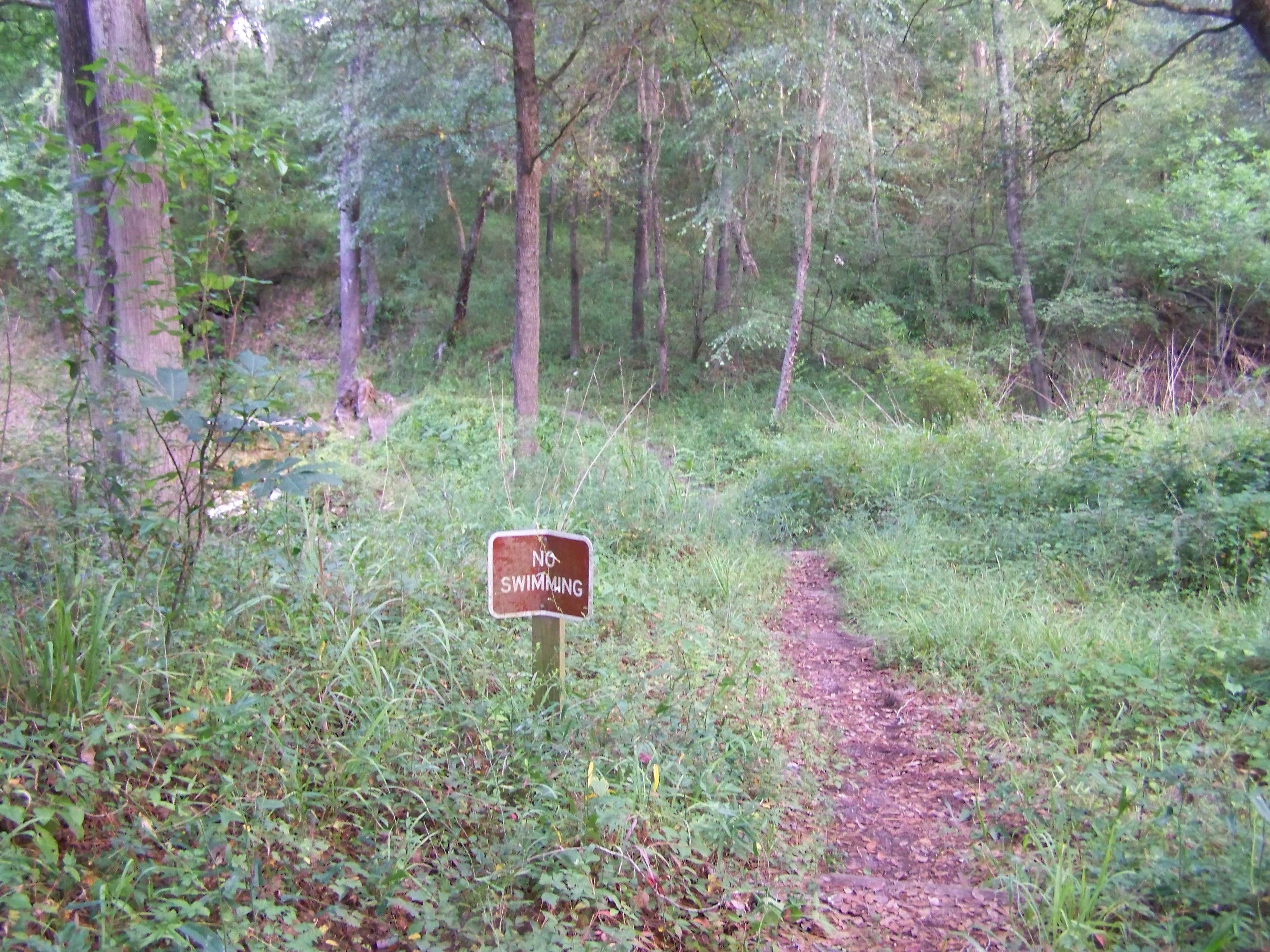 Camper submitted image from Lafayette Blue Springs State Park Campground - 2