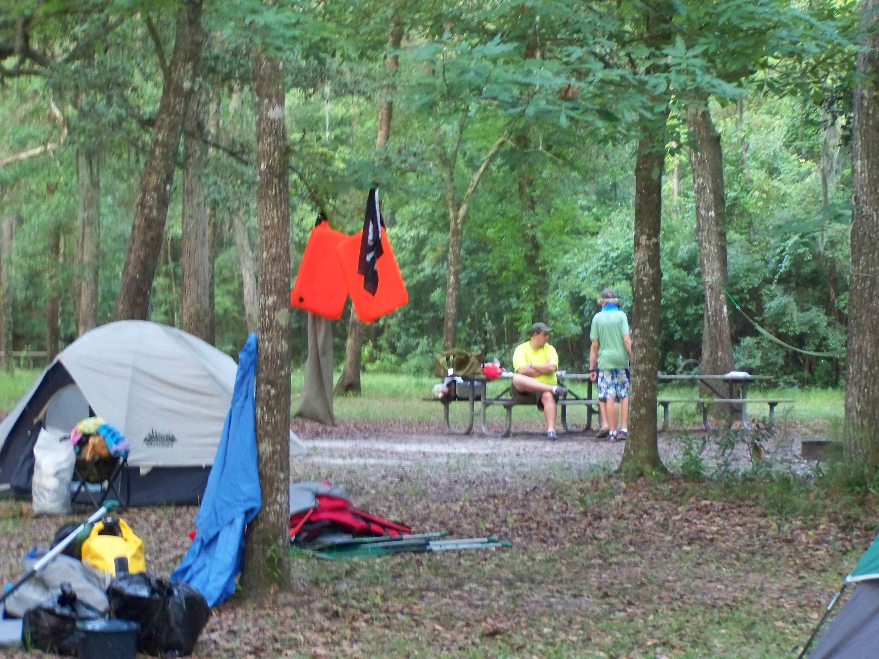 Jeanene A.'s photo of tent camping at Lafayette Blue Springs State Park Campground near Jasper, FL
