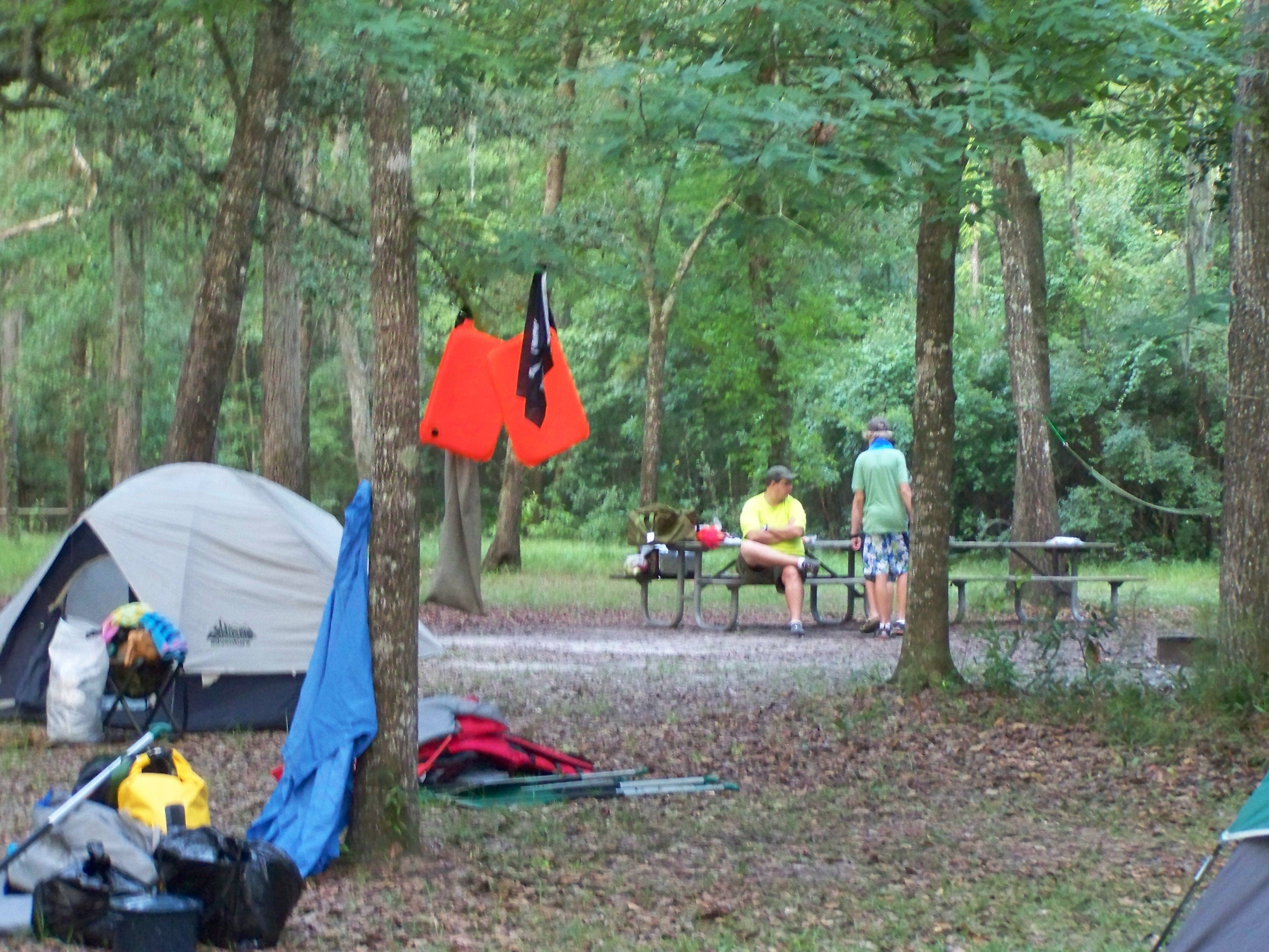 Camper submitted image from Lafayette Blue Springs State Park - 5