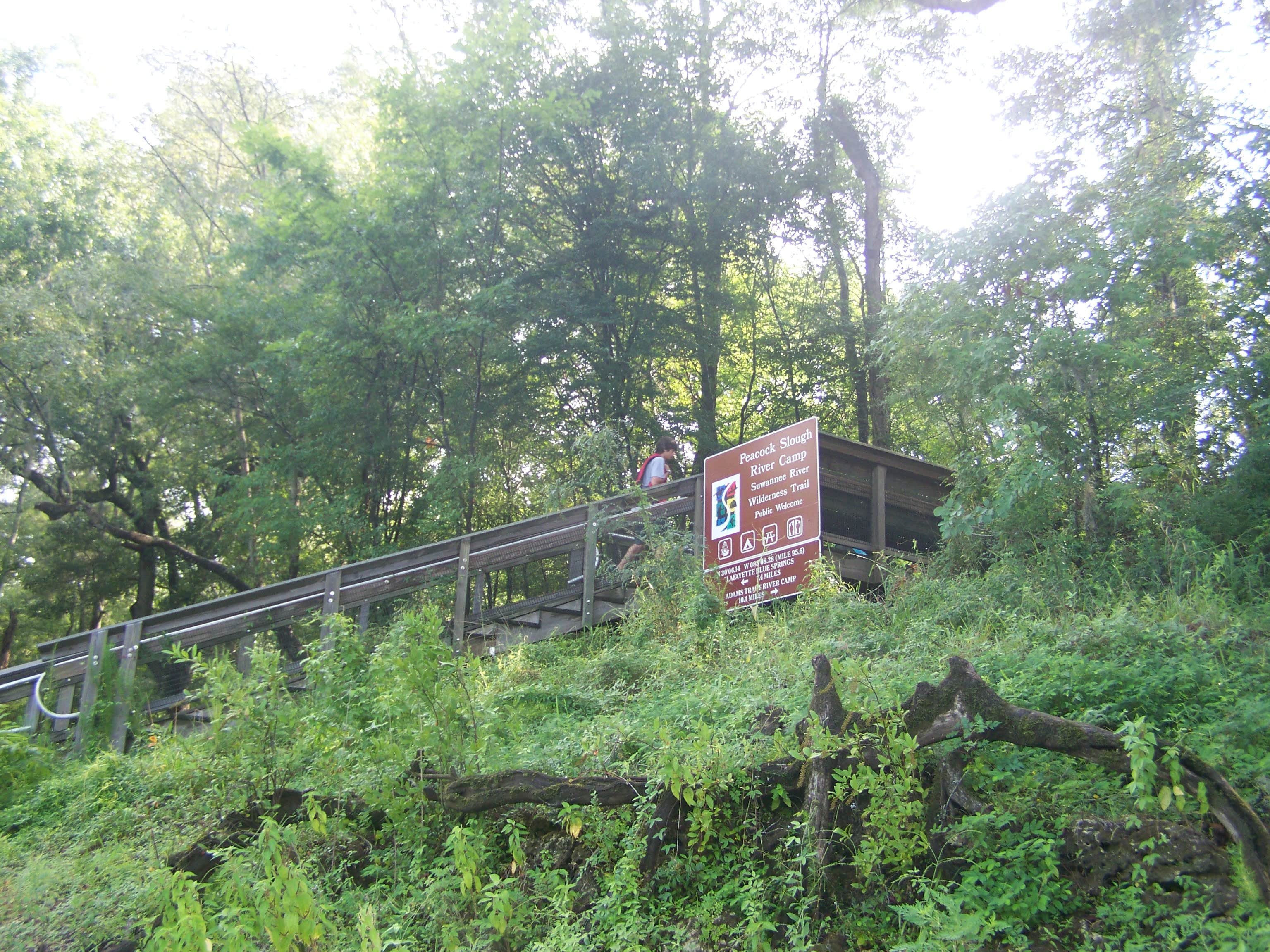 Camper-submitted photo at Peacock Slough River Camp — Suwannee River Wilderness Trail near Jasper, FL
