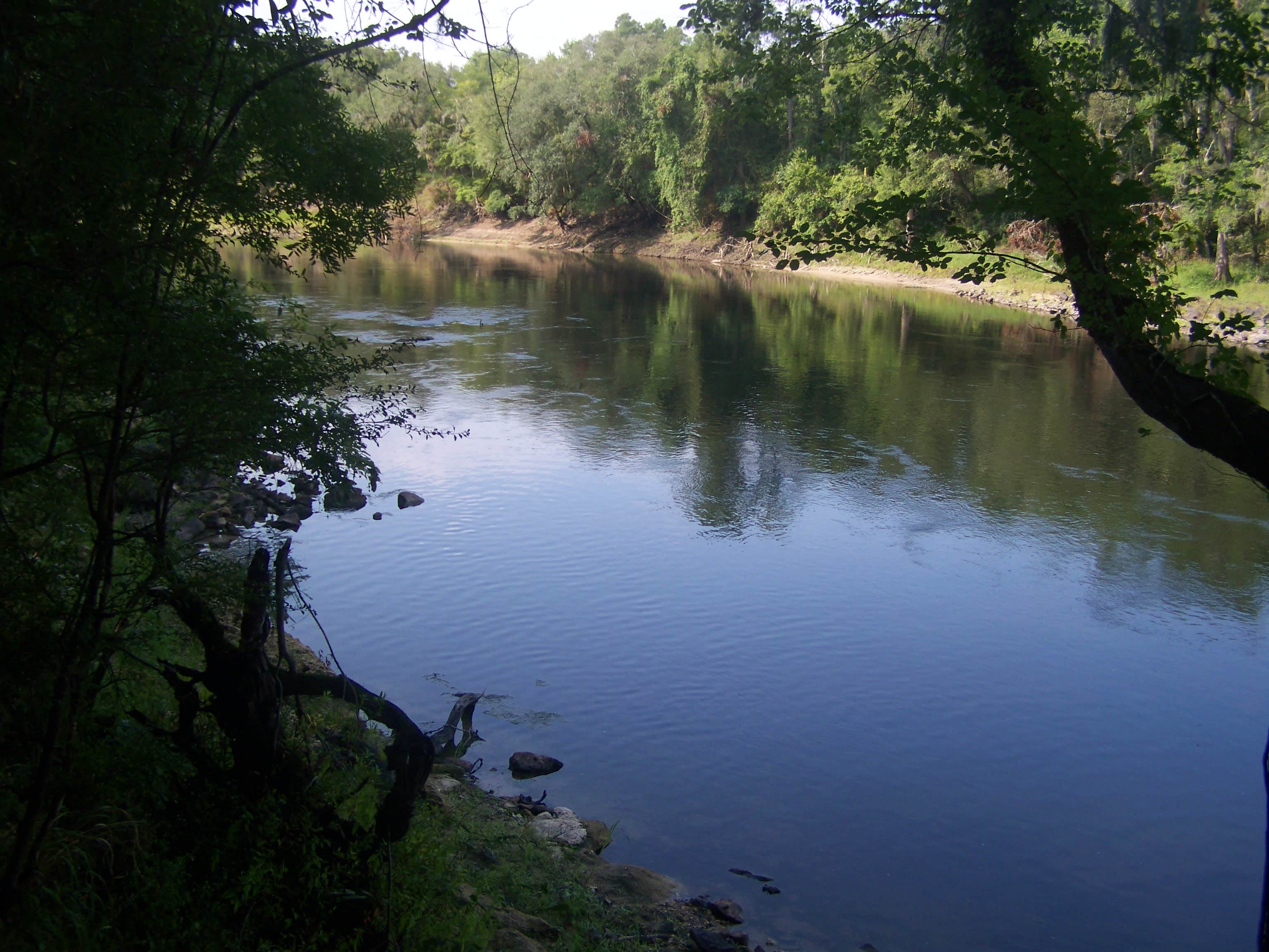 Camper submitted image from Peacock Slough River Camp — Suwannee River Wilderness Trail - 4