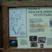 Review photo of Peacock Slough River Camp — Suwannee River Wilderness Trail by Jeanene A., June 26, 2017