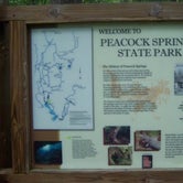 Review photo of Peacock Slough River Camp — Suwannee River State Park by Jeanene A., June 26, 2017