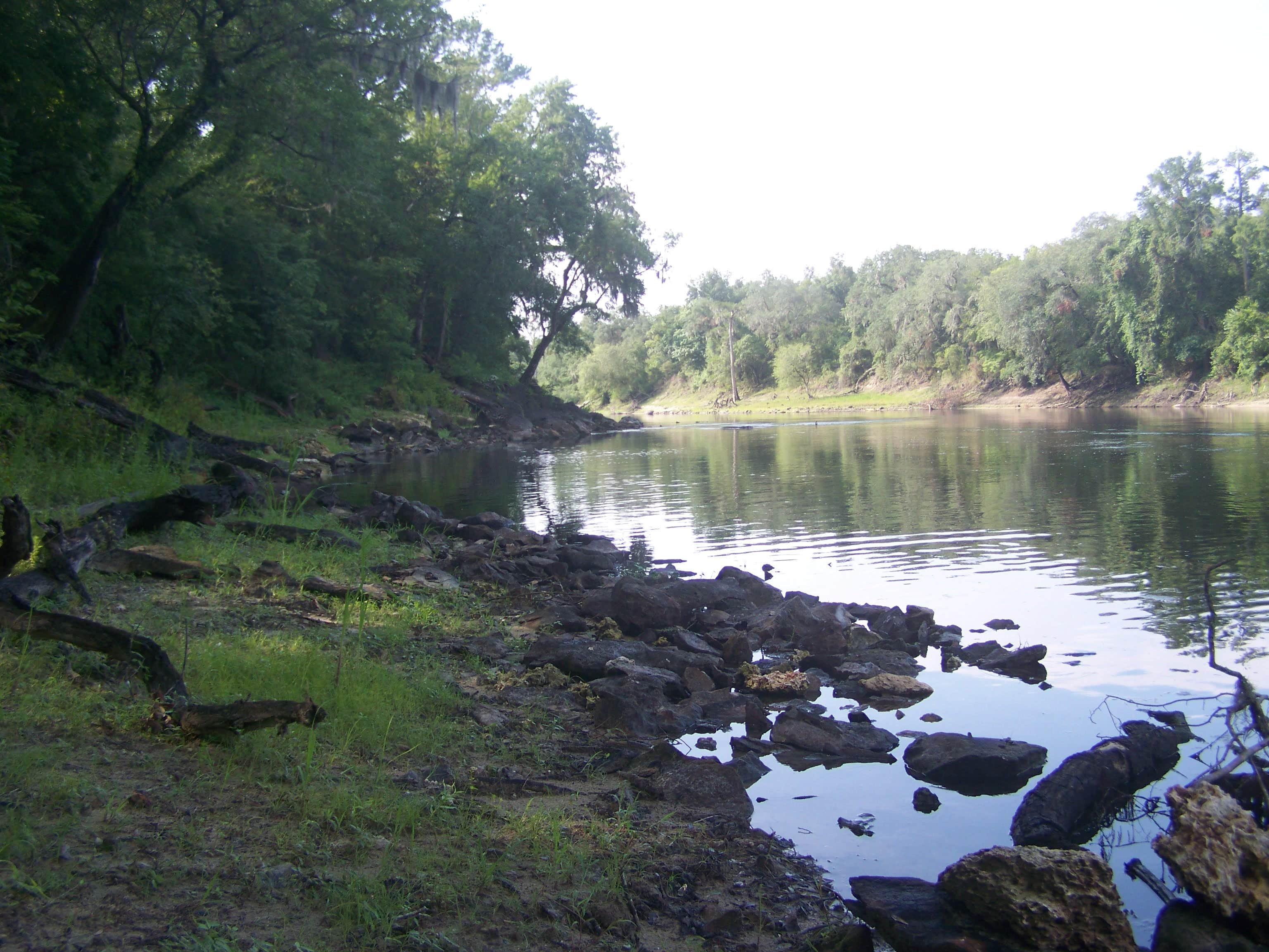 Camper submitted image from Peacock Slough River Camp — Suwannee River Wilderness Trail - 5