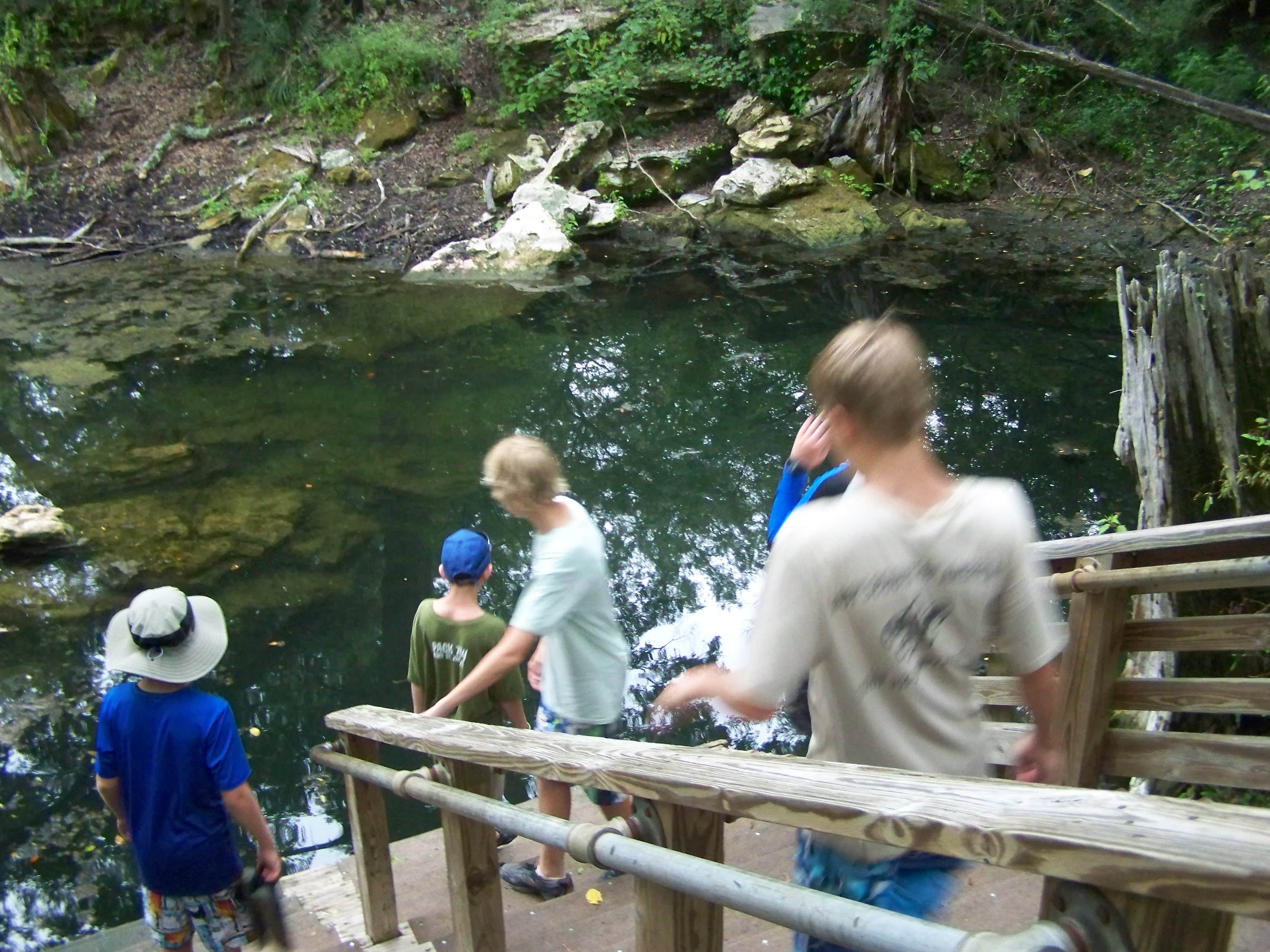 Camper submitted image from Peacock Slough River Camp — Suwannee River Wilderness Trail - 5