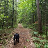 Review photo of Petoskey State Park Campground by Nancy W., June 26, 2017
