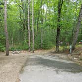 Review photo of Petoskey State Park Campground by Nancy W., June 26, 2017