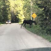 Review photo of USFS Teton Canyon Campground by Christina R., June 26, 2017