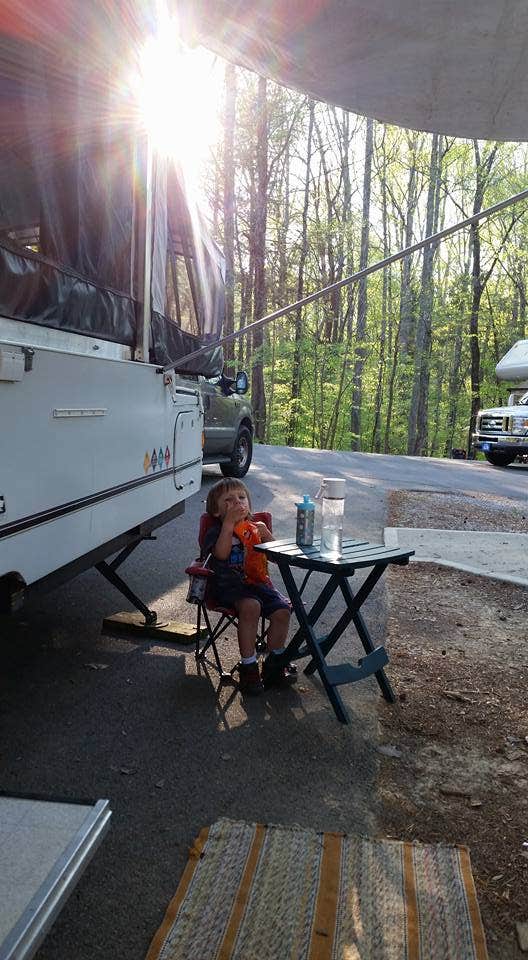 Camper submitted image from Rock Island State Park Campground - 3