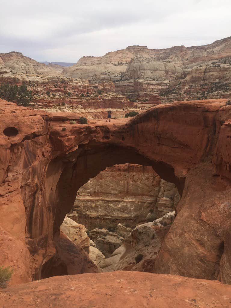 Camper submitted image from Capitol Reef National Park Dispersed Camping - 2