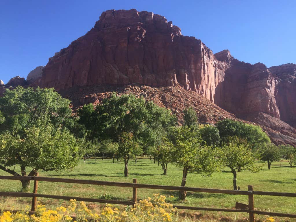 Camper-submitted photo at Capitol Reef National Park Dispersed Camping near Capitol Reef National Park