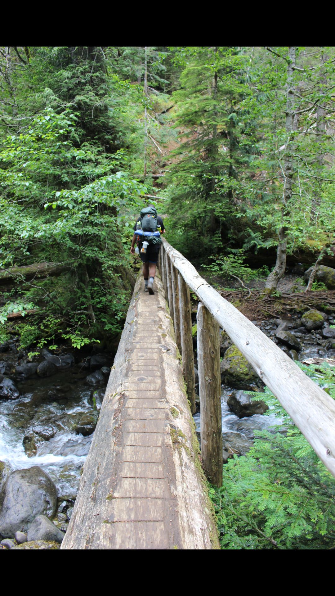 Camper-submitted photo at Upper Lena Lake — Olympic National Park near Lilliwaup, WA