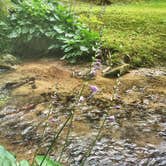 Review photo of Moonshine Creek Campground by Chelsie A., June 27, 2017