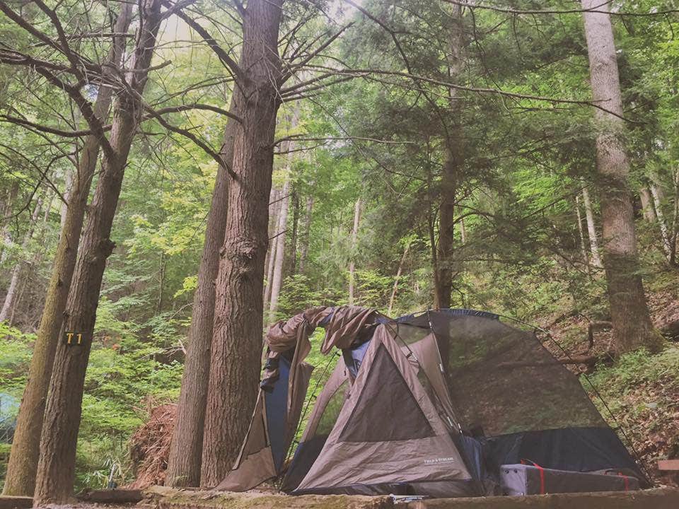 Chelsie A.'s photo at Moonshine Creek Campground in North Carolina