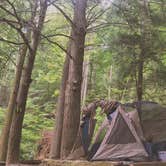 Review photo of Moonshine Creek Campground by Chelsie A., June 27, 2017