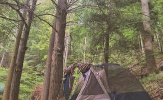 Chelsie A.'s photo at Moonshine Creek Campground in North Carolina