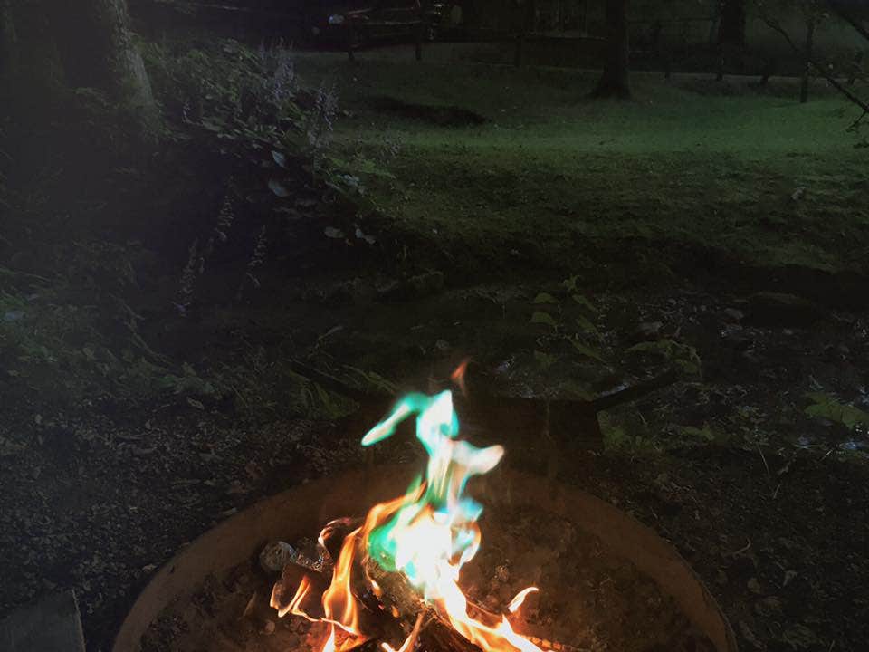 Chelsie A.'s photo at Moonshine Creek Campground near Cullowhee, NC