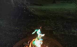 Chelsie A.'s photo at Moonshine Creek Campground near Cullowhee, NC
