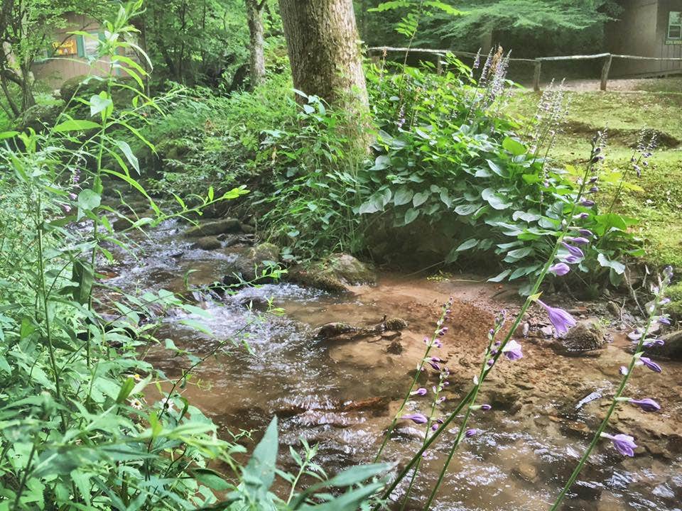 Camper submitted image from Moonshine Creek Campground - 4