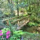 Review photo of Moonshine Creek Campground by Chelsie A., June 27, 2017