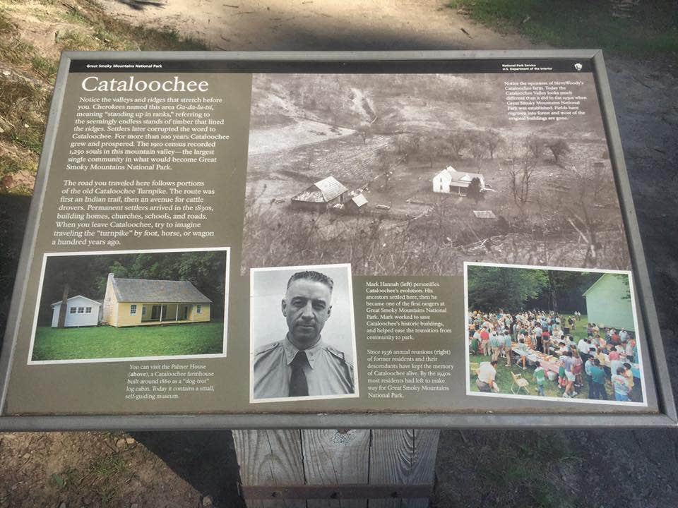 Camper submitted image from Cataloochee Campground — Great Smoky Mountains National Park - 5