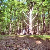 Review photo of Cataloochee Campground — Great Smoky Mountains National Park by Chelsie A., June 27, 2017