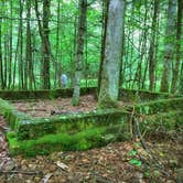 Review photo of Cataloochee Campground — Great Smoky Mountains National Park by Chelsie A., June 27, 2017