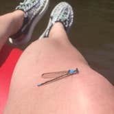 Review photo of Moonshine Creek Campground by Chelsie A., June 27, 2017